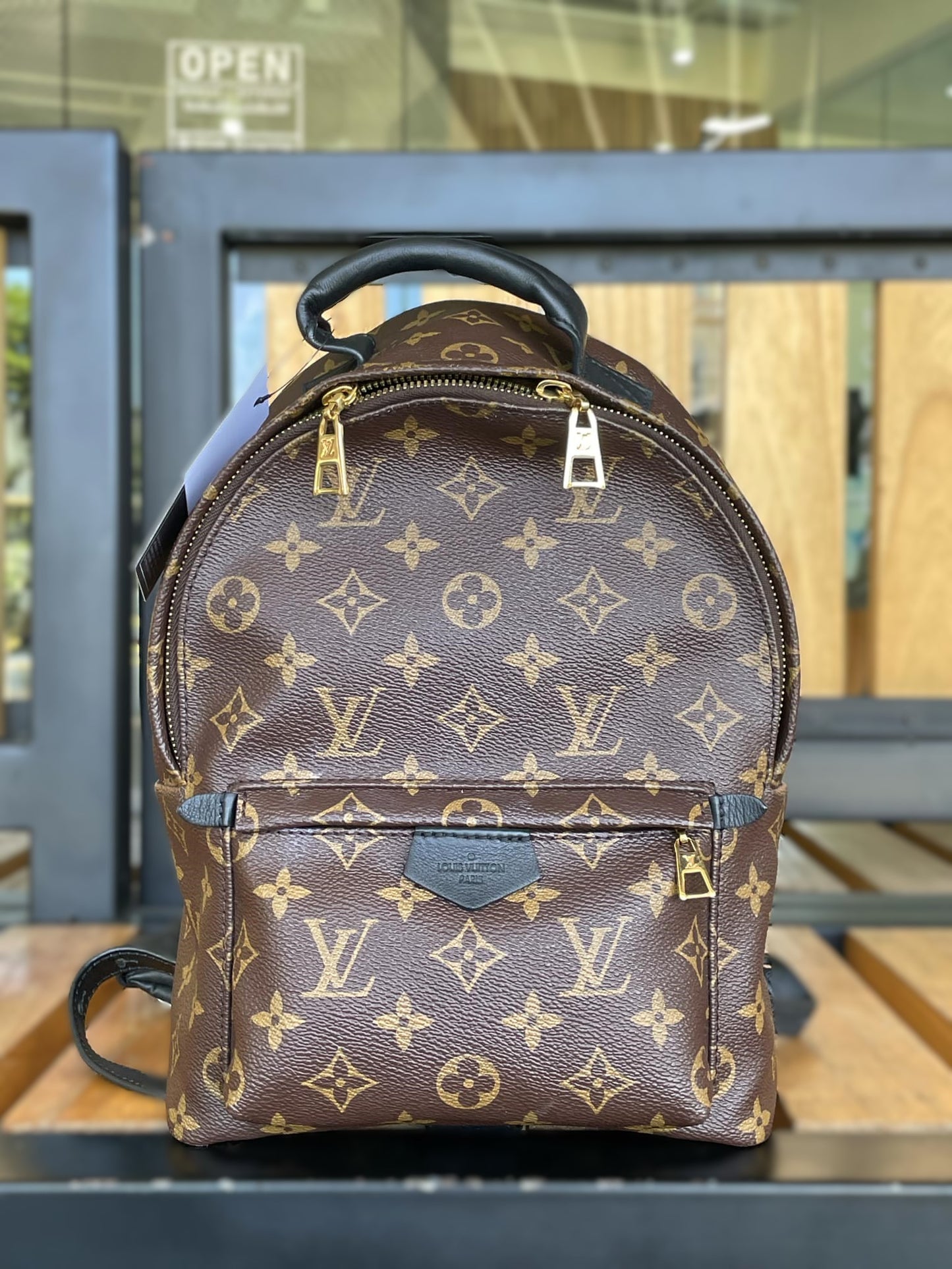 Louis Vuitton Palm Springs PM Backpack