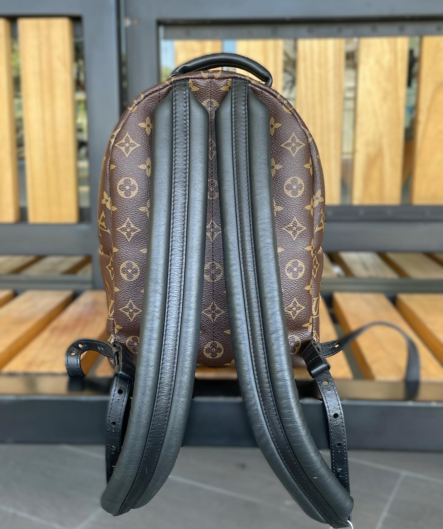 Louis Vuitton Palm Springs PM Backpack