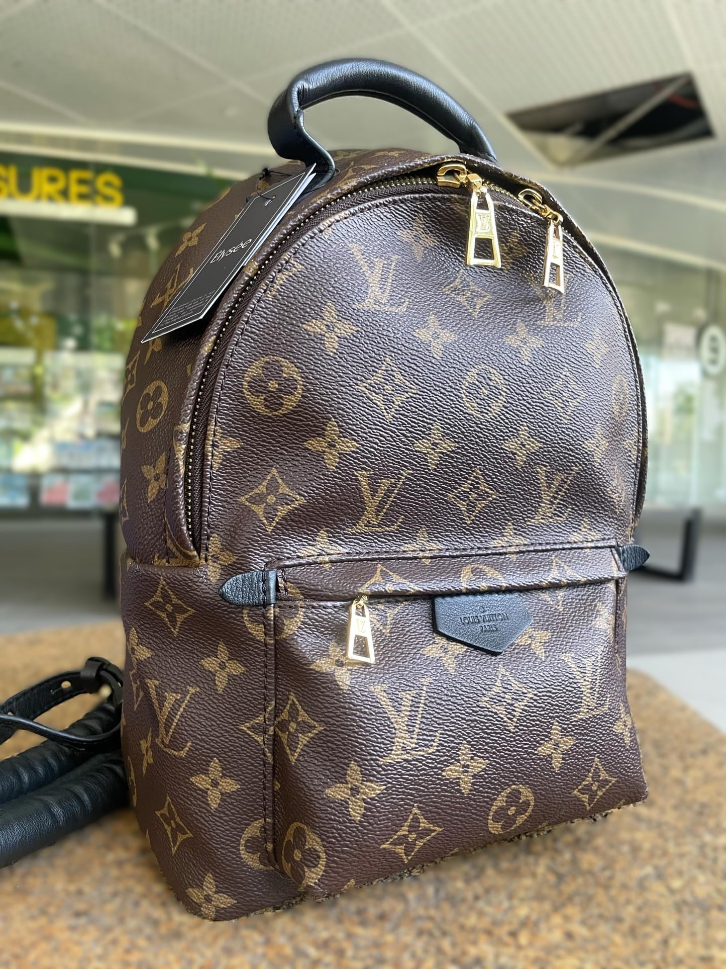 Louis Vuitton Palm Springs PM Backpack