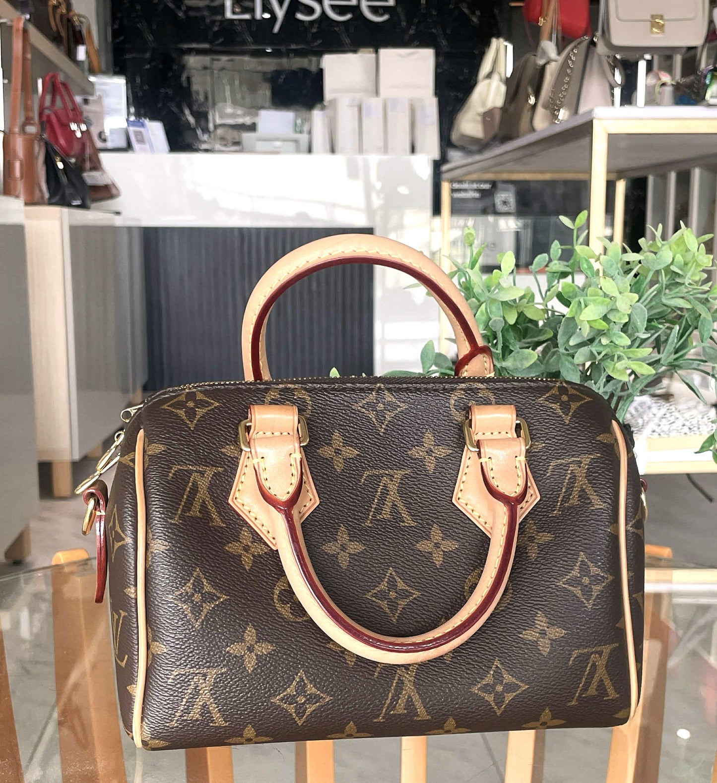 Louis Vuitton  Speedy 20
