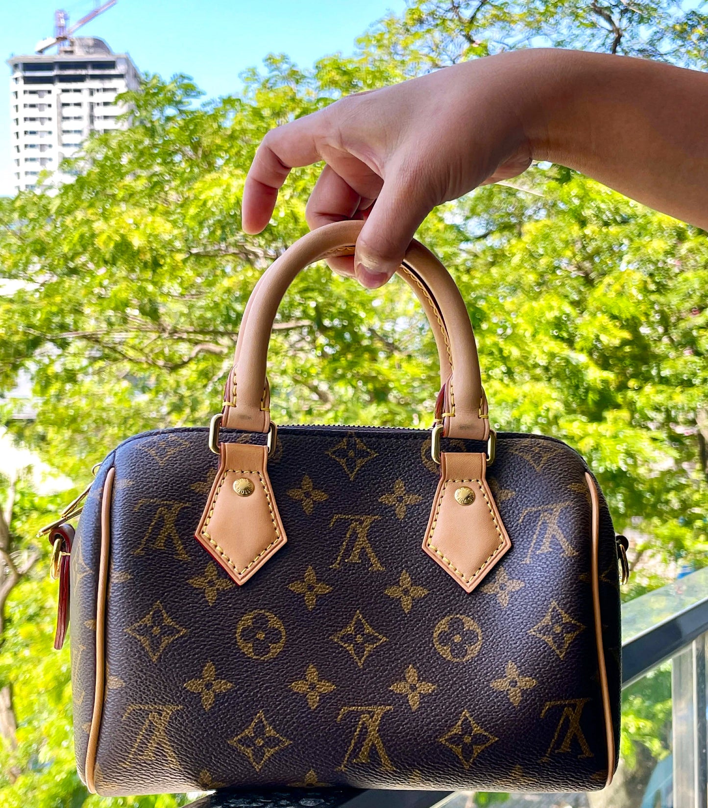 Louis Vuitton  Speedy 20