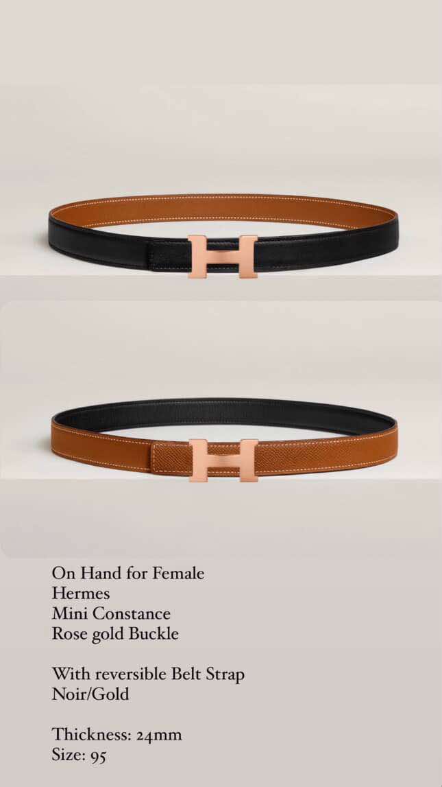 Hermes Mini Constance Belt