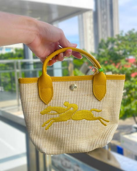 Longchamp Small Tote bag