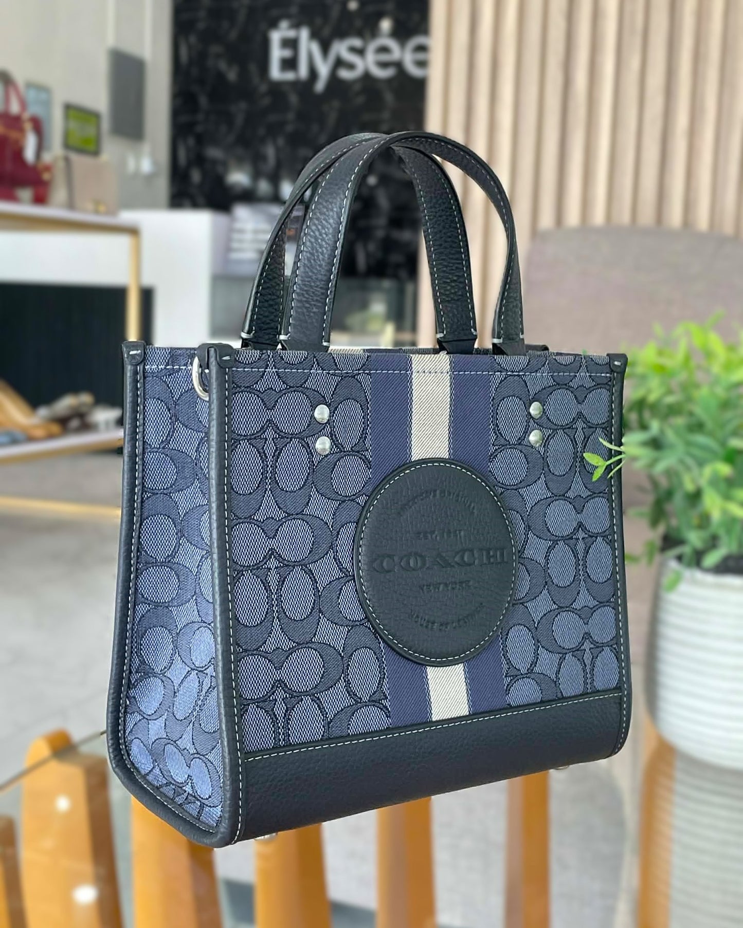 Coach Dempsey Tote bag