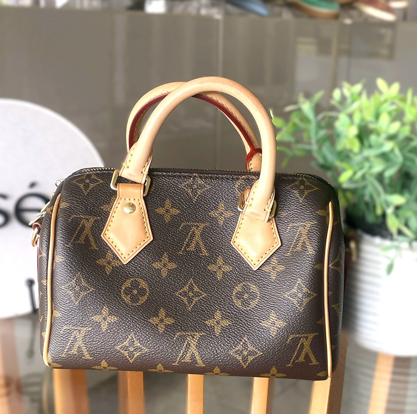 Louis Vuitton  Speedy 20