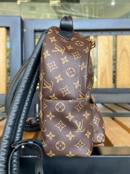Louis Vuitton Palm Springs PM Backpack