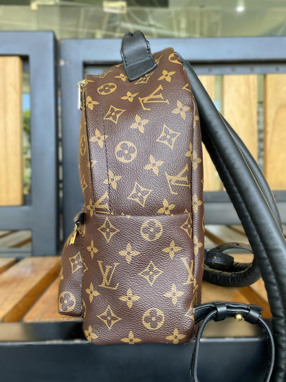 Louis Vuitton Palm Springs PM Backpack