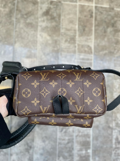 Louis Vuitton Palm Springs PM Backpack