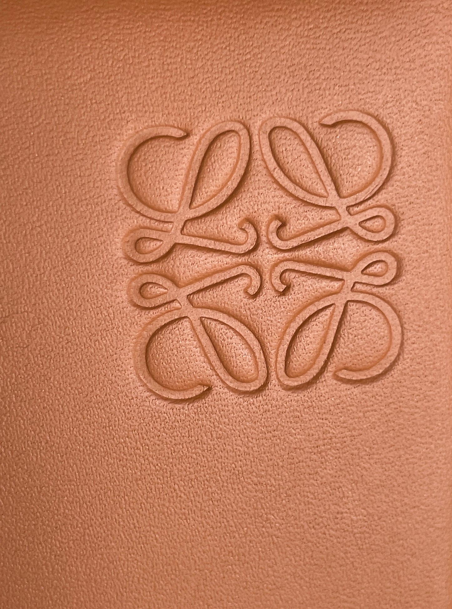 Loewe Heel Pouch Crossbody Bag