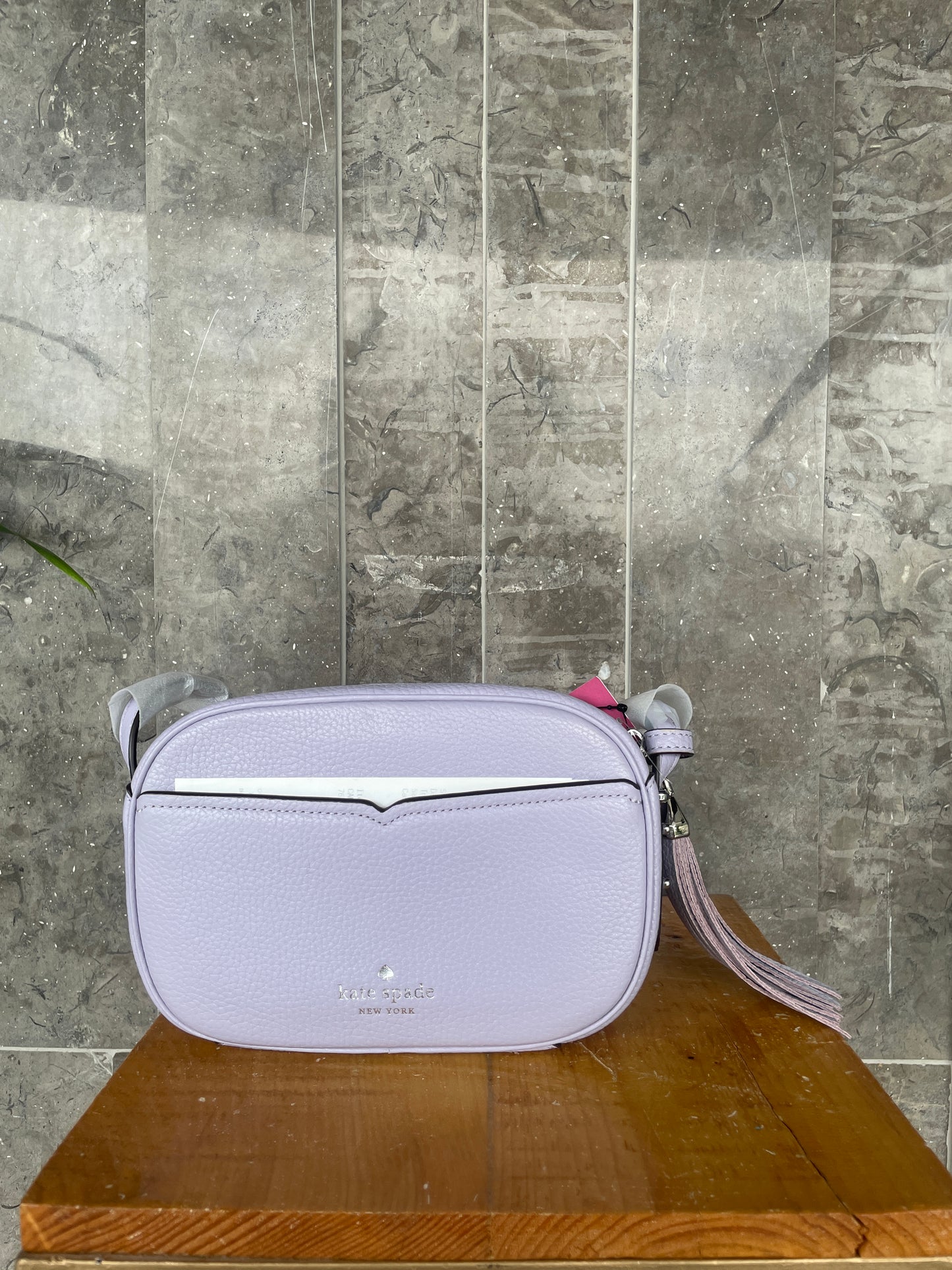 Kate Spade New York Kourtney Spade Camera Crossbody Bag