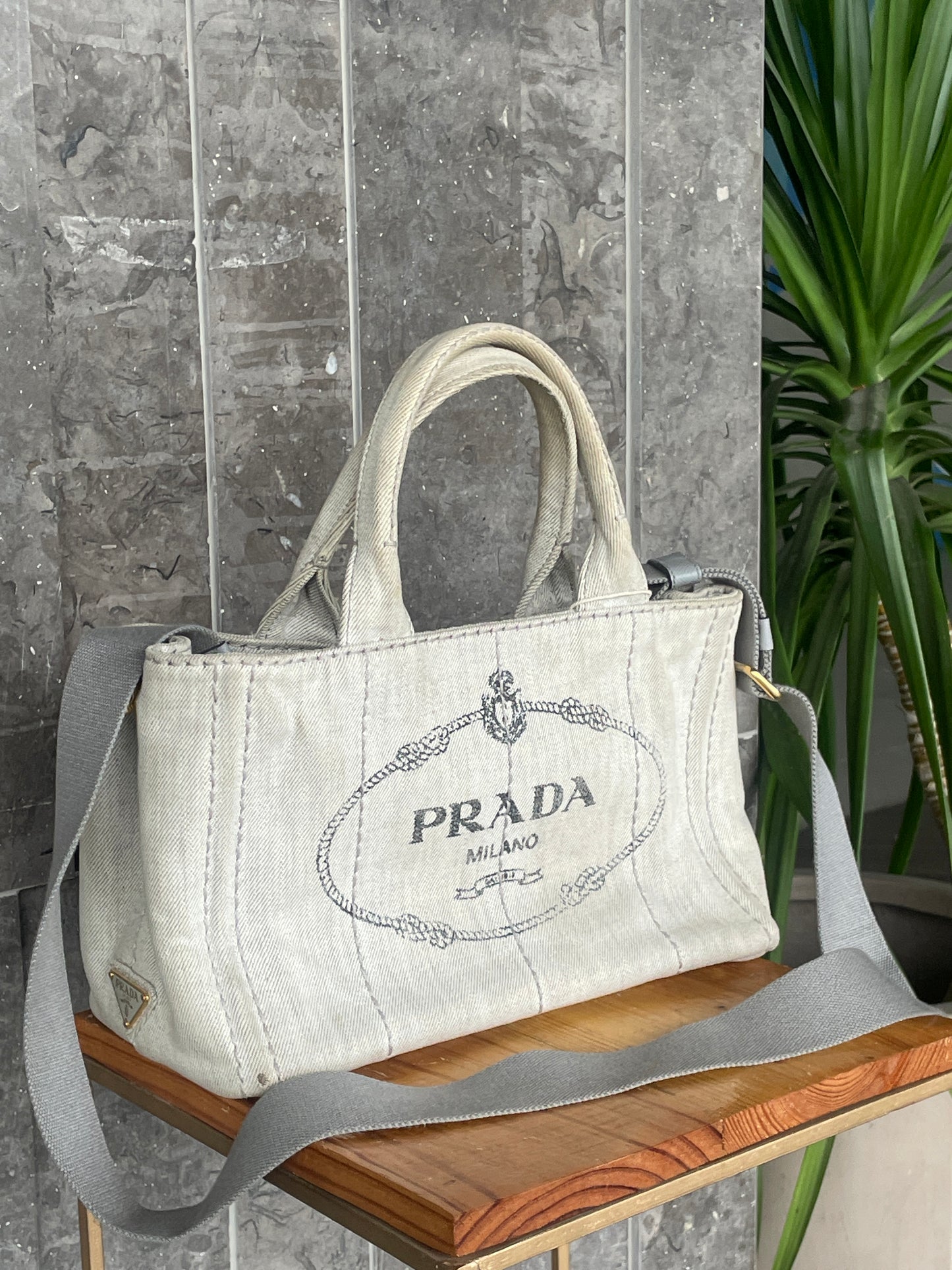 Prada Canapa Canvas Logo Tote bag