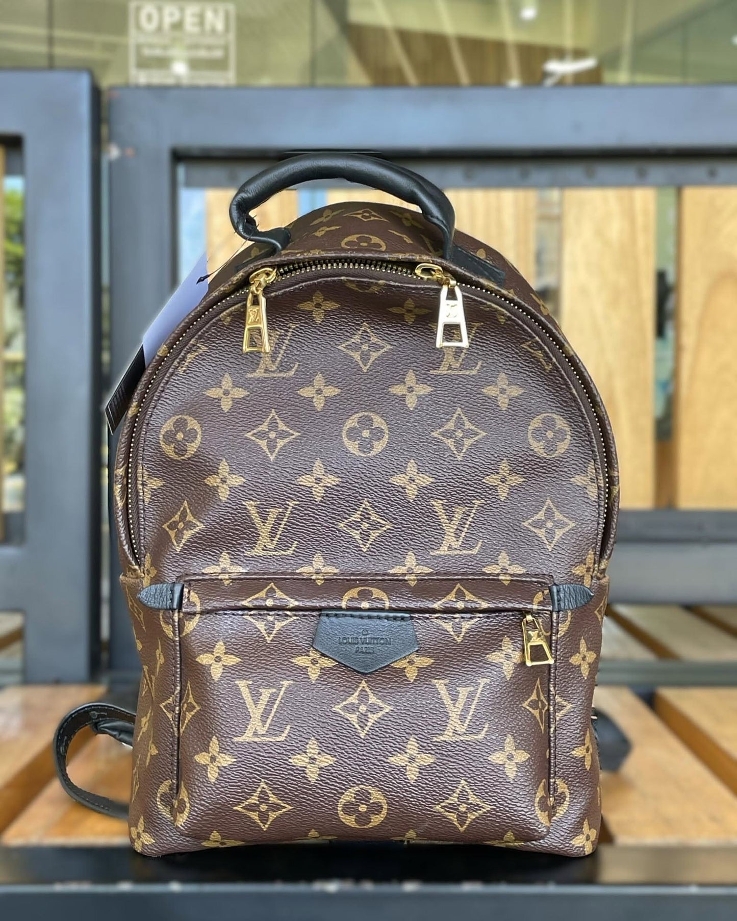 LV Palm Springs PM Backpack