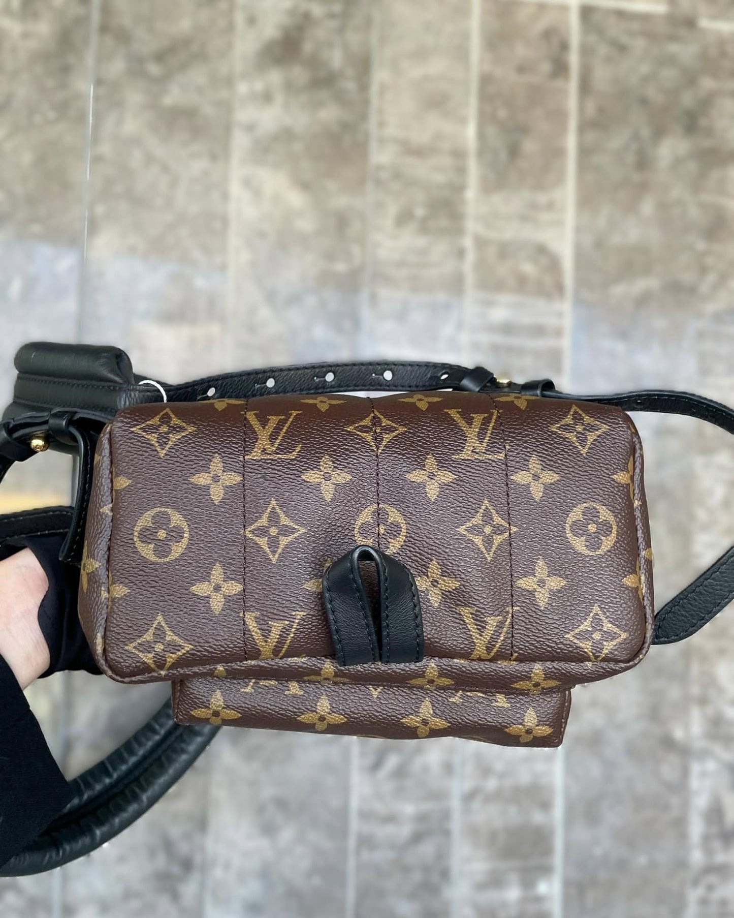 LV Palm Springs PM Backpack