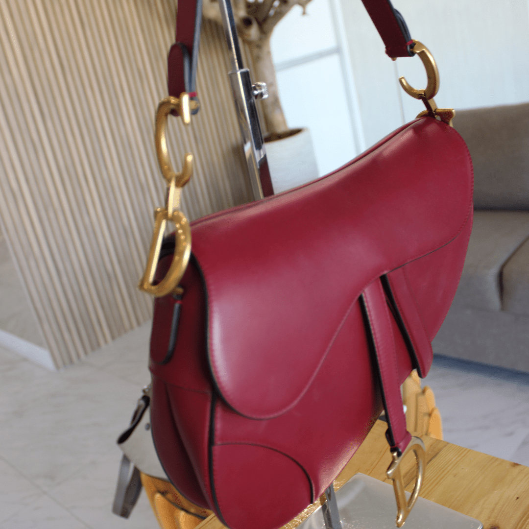 Dior Saddle Bag - Élysée