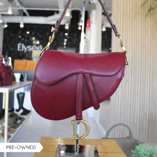 Dior Saddle Bag - Élysée