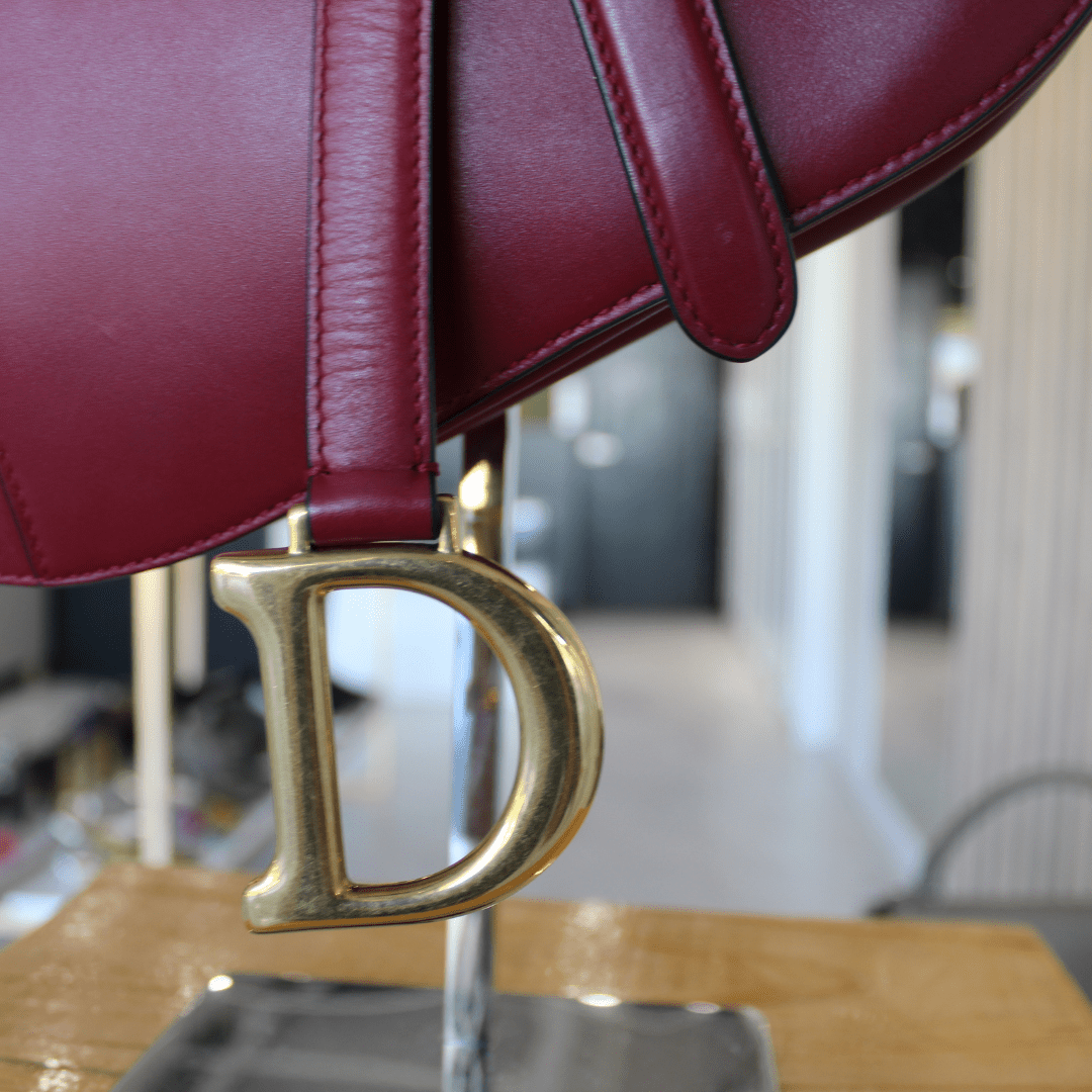 Dior Saddle Bag - Élysée