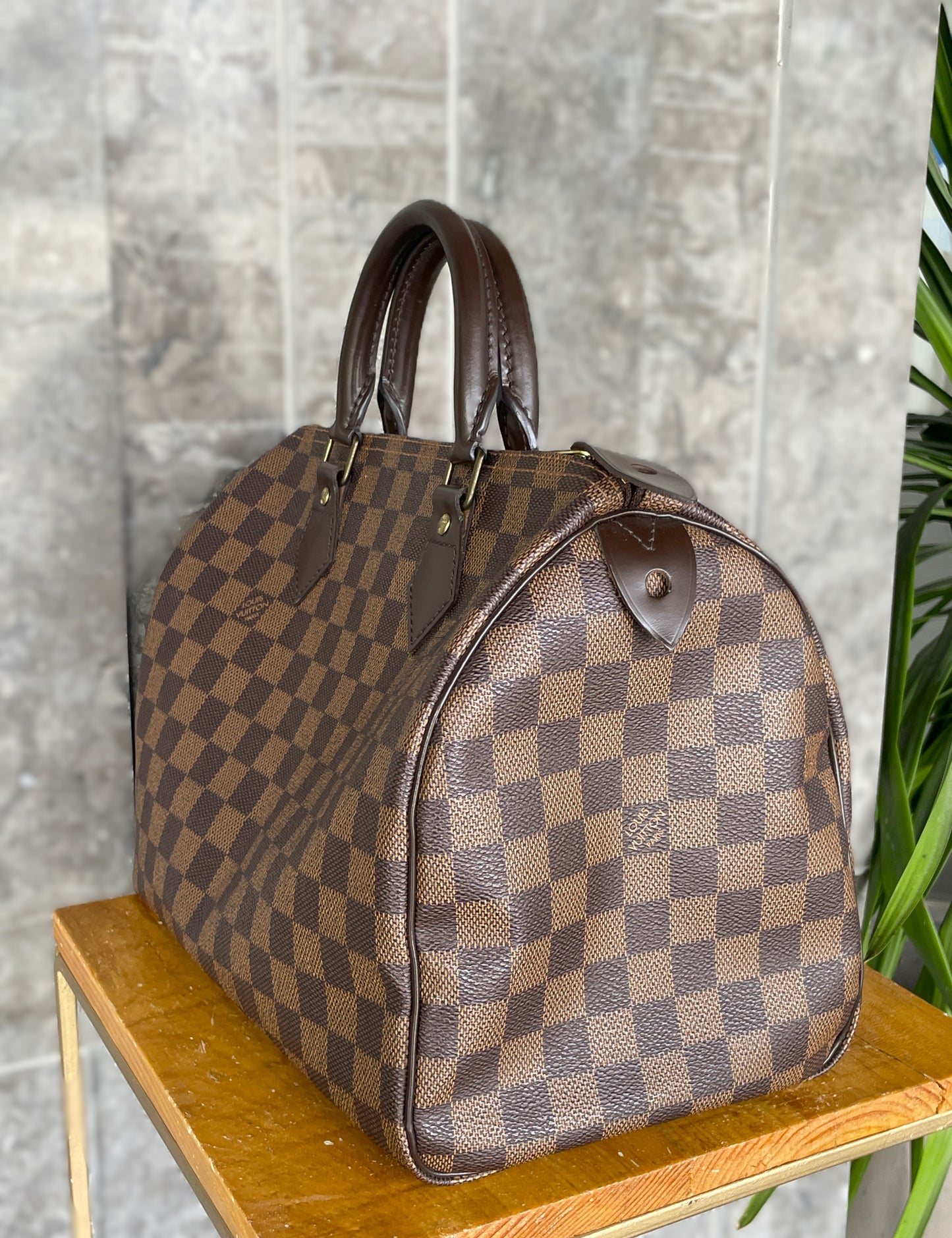 Louis Vuitton  Speedy 30 Damiier